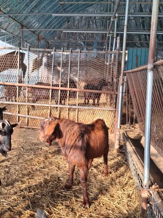 삼일호투광양 님의 자유주제 · 자유게시판 작성글 사진