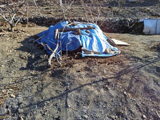 김용대님의 자유주제 · 자유게시판 작성글 사진