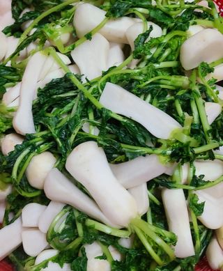 knlee님의 자유주제 · 자유게시판 작성글 사진