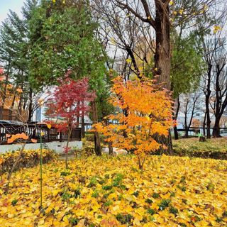 안길원님의 자유주제 · 자유게시판 작성글 사진