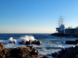 비옥토님의 자유주제 · 자유게시판 작성글 사진