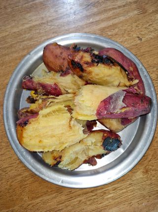 낙엽교목류21691님의 자유주제 · 자유게시판 작성글 사진