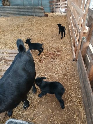 이옥신님의 자유주제 · 자유게시판 작성글 사진
