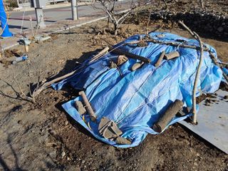 김용대님의 자유주제 · 자유게시판 작성글 사진