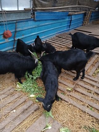 이옥신님의 자유주제 · 자유게시판 작성글 사진