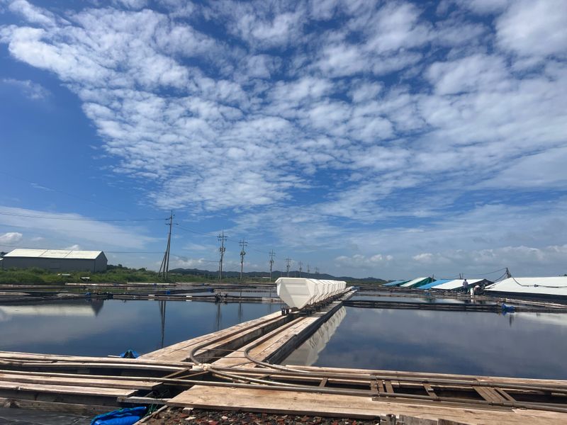 강재선님의 장터 판매 상품 [간수뺀 해남 천일염소금20kg ] 첨부 사진