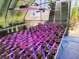 천등산미래양봉농원님의 자유주제 · 자유게시판 작성글 사진