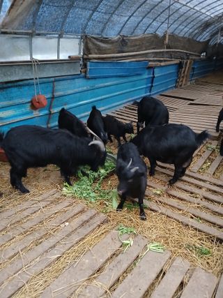 이옥신님의 자유주제 · 자유게시판 작성글 사진