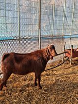 팜모닝 자유주제·자유게시판 게시글 이미지