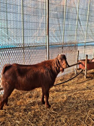 삼일호투광양 님의 자유주제 · 자유게시판 작성글 사진
