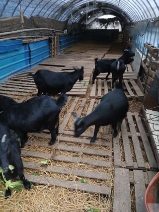 이옥신님의 자유주제 · 자유게시판 작성글 사진