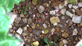 누보농장님의 자유주제 · 자유게시판 작성글 사진