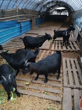 이옥신님의 자유주제 · 자유게시판 작성글 사진