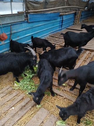 이옥신님의 자유주제 · 자유게시판 작성글 사진