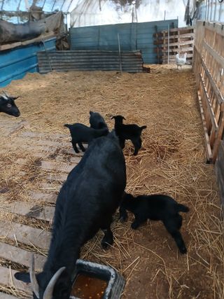 이옥신님의 자유주제 · 자유게시판 작성글 사진