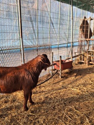 삼일호투광양 님의 자유주제 · 자유게시판 작성글 사진