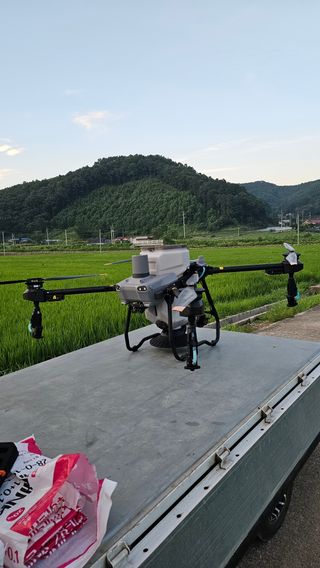 충북괴산 콩콩콩님의 자유주제 · 자유게시판 작성글 사진