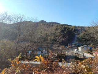 오영도님의 자유주제 · 자유게시판 작성글 사진