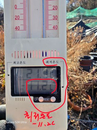 약초원 김종군님의 자유주제 · 자유게시판 작성글 사진