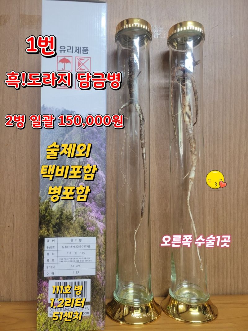 장터 상품 [도라지 담금병 ] 썸네일