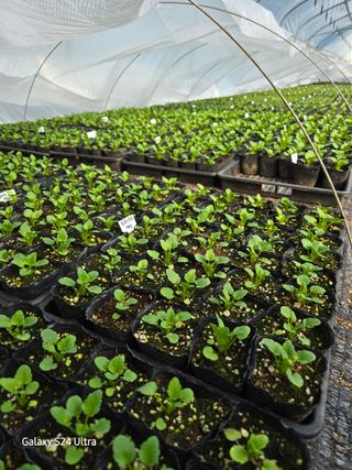 약초원 김종군님의 자유주제 · 자유게시판 작성글 사진