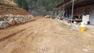 알 수 없음님의 두릅 · 영농일지 작성글 사진