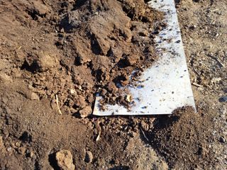 김용대님의 자유주제 · 자유게시판 작성글 사진