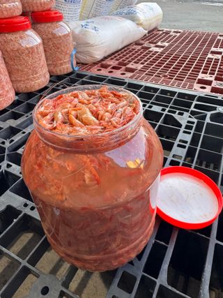 강재선님의 작성글 사진