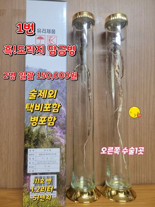 김봉호님의 작성글 사진