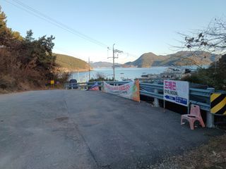 오영도님의 자유주제 · 자유게시판 작성글 사진