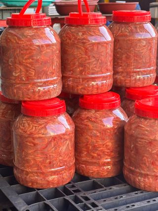 강재선님의 작성글 사진