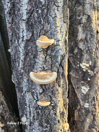 김도은님의 자유주제 · 자유게시판 작성글 사진