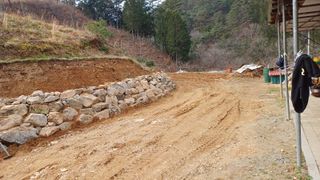 알 수 없음님의 두릅 · 영농일지 작성글 사진