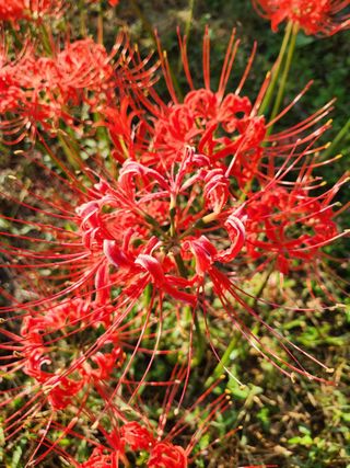 산들농장님의 작성글 사진