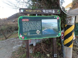 오영도님의 자유주제 · 자유게시판 작성글 사진