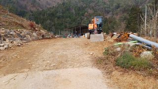 알 수 없음님의 두릅 · 영농일지 작성글 사진