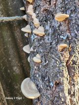 팜모닝 자유주제·자유게시판 게시글 이미지