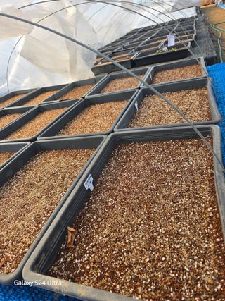 약초원 김종군님의 자유주제 · 자유게시판 작성글 사진