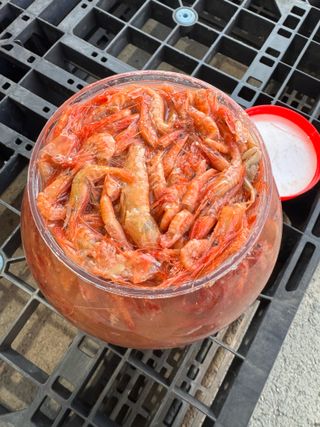 강재선님의 작성글 사진