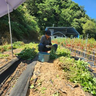 약초를사랑한짱아줌마님의 작성글 사진