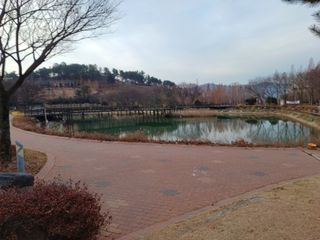 오영도님의 자유주제 · 자유게시판 작성글 사진