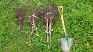 도기백님의 작성글 사진