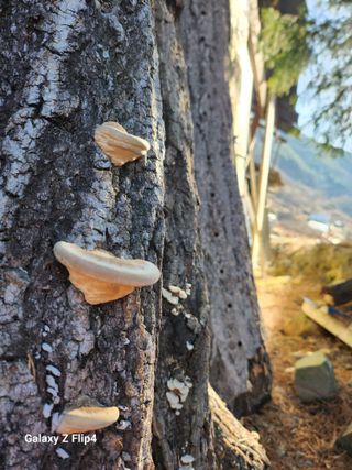 김도은님의 자유주제 · 자유게시판 작성글 사진