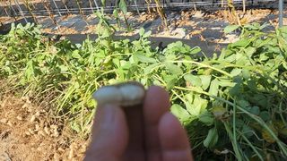 약초를사랑한짱아줌마님의 작성글 사진