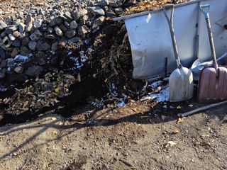 김용대님의 자유주제 · 자유게시판 작성글 사진