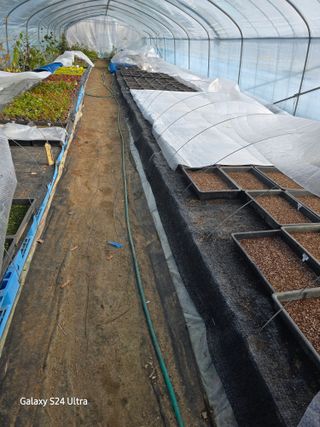 약초원 김종군님의 자유주제 · 자유게시판 작성글 사진