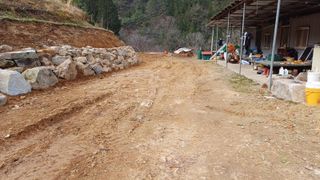 알 수 없음님의 두릅 · 영농일지 작성글 사진