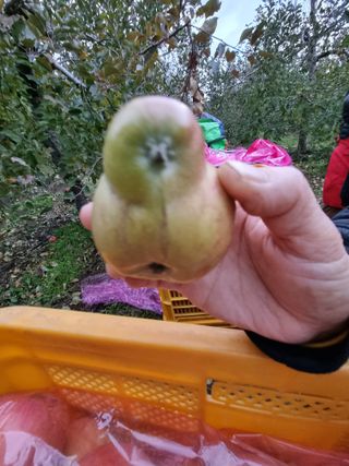 박영창님의 자유주제 · 자유게시판 작성글 사진