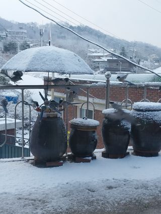 정금천님의 자유주제 · 자유게시판 작성글 사진