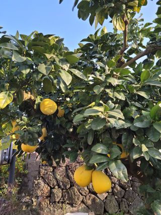 배성은365님의 여행을 간다면 어디로 가고 싶으세요? · 참여글 작성글 사진